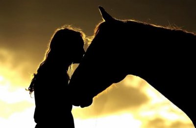 ​温暖人心的唯美句子