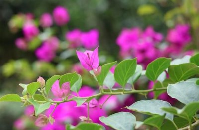 ​幽默句子发朋友圈心情 心情不错的幽默语句