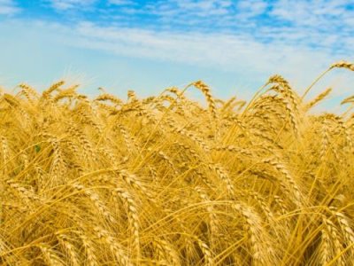 ​祝福学业有成的金点句子[15条]