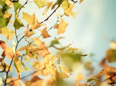 ​客户早安祝福语简短（每日祝福语早安图片）