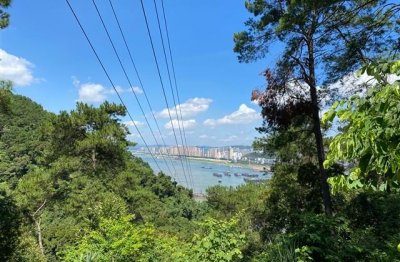 ​女生一个字网名(优选260个)