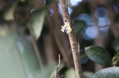 ​适合自己的网名(共179个)