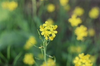 ​时尚洋气的网名(158个)