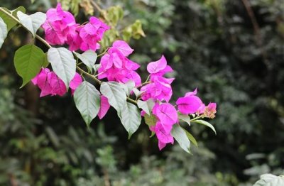 ​感谢有你qq网名大全(精选100个)