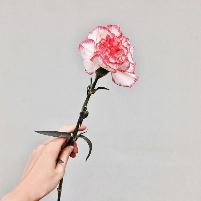 ​春节祝福语金句（21句春节祝福语简短精辟）