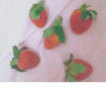 ​善良的晚安心语简短一句话（一句话）