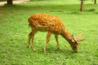 ​单身情人节的个性签名[25条]：从你离开的那一刻开始