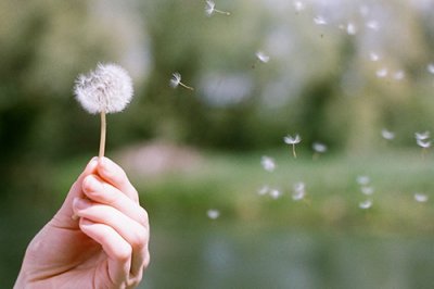 ​与金钱有关的名言(57句)