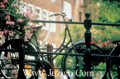 ​关于打击的名言名句关于作息规律的名言名句(精选23句)