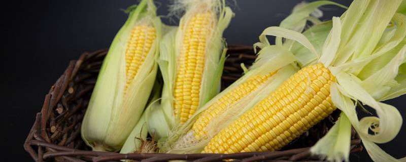 ​玉米在减脂期吃热量高不高 为什么玉米热量比米饭高还减肥