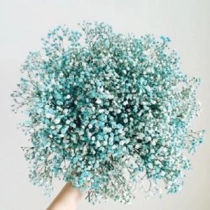 ​读书好处的名言警句：君子博学而日参省乎己…