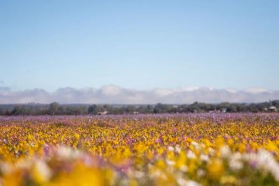 ​尊重别人的名言警句(18句)：但它只会更加暴露他们的空虚和愚蠢…