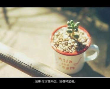 ​积极向上的名言名句古风