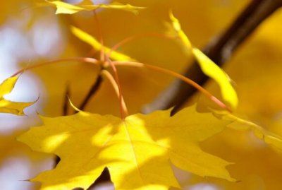 ​佛说因果报应名言警句