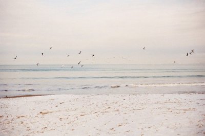 ​nba明星座右铭22句