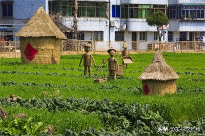 ​城市和农村的区别（城市和乡下的生活对比出的7大差异）