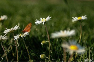 ​离婚后如何挽回感情 如何轻松的挽回对方的心