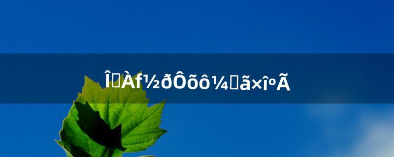 ​问道力金怎么加点最好（问道电精怎么练厉害)