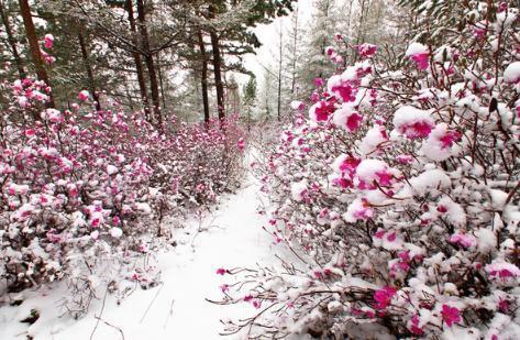 国内最冷的小镇最低气温-50℃ 连汽车和发动机都无法启动