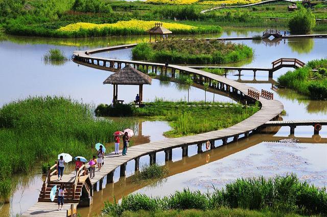 兰州唯一的黄河湿地公园-----银滩湿地公园，鱼跃湖、丰富了黄河风情线景观。一定要去一次才好