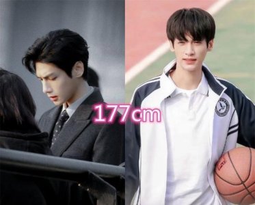 ​“半是蜜糖半是伤”演员身高,罗云熙只有177cm,肖燕竟然这么高!