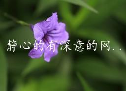 ​静心的有深意的网名(精选10~3000个)
