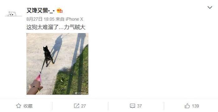 网红Saya打孕妇又刚警察，</p>同为铲屎官她和丈夫牵着自家狗子散步回家，使得斗牛狗多次扑向这位孕妇。向粉丝要钱引起轰动。因为微博内容都是她卖的服装和首饰，是一个签约的时尚红人。</p><p style=