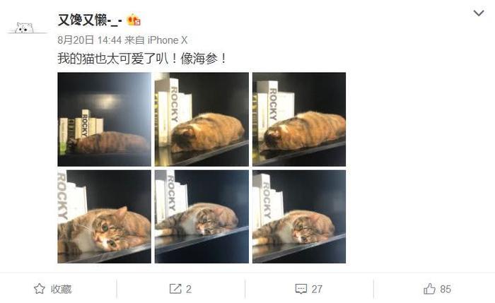 网红Saya打孕妇又刚警察，红S红王现在网红怎么了？孕妇又刚<strong>360天擎免杀,360云查杀免杀,dll劫持免杀360,木马远程控制法怎么用</strong>王思聪发博怒怼