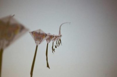 ​世界上最美丽的离别(汇总78句)