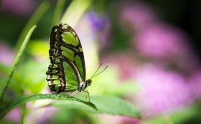 ​绝望崩溃想死抑郁的网名(最火262个)