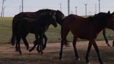 ​1000个好听的女孩名字