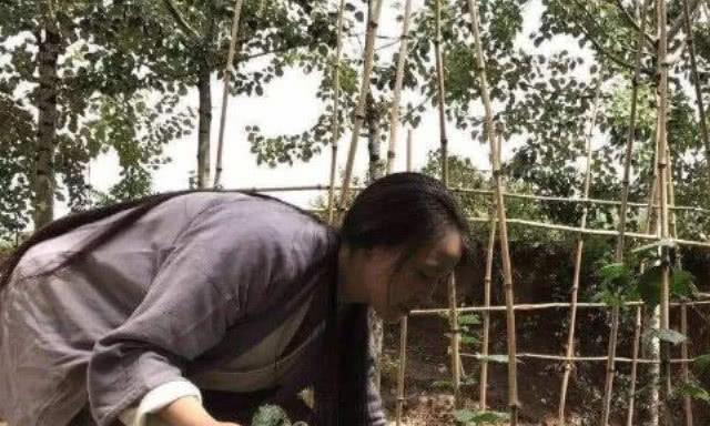 终南山隐居人越来越多,房租破土房租金涨到20000,以后该何去!