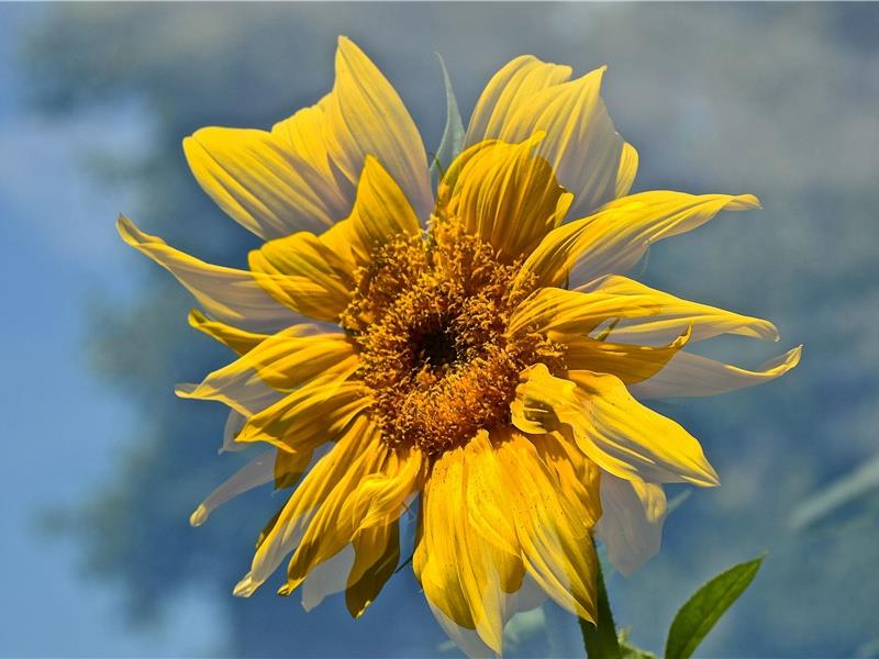 简短而很有深度的句子(70句)