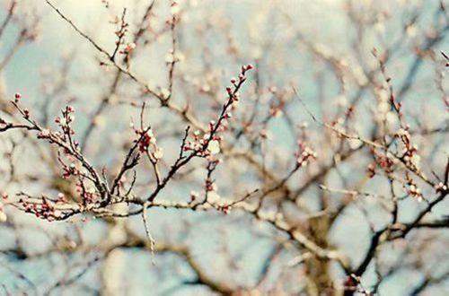 教师节赞美老师的祝福语优美句子
