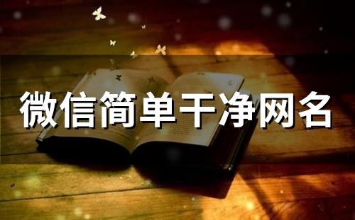 ​微信简单干净网名(精选146个)