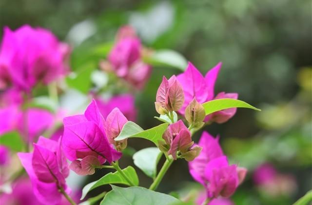 四个字网名古风男生名字(优选608个)