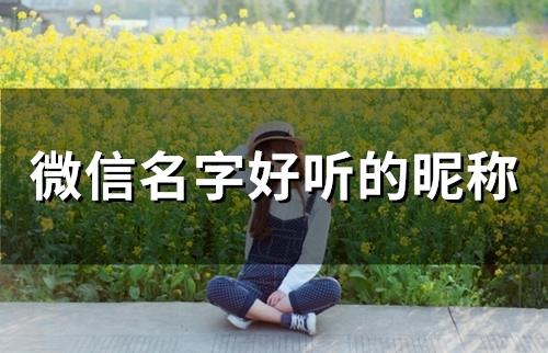 ​微信名字好听的昵称(656个)