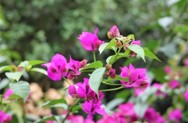 传奇七字好听的游戏名字 传奇七字好听的游戏名字