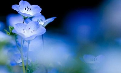 ​祝福高考生励志语(精选120句)