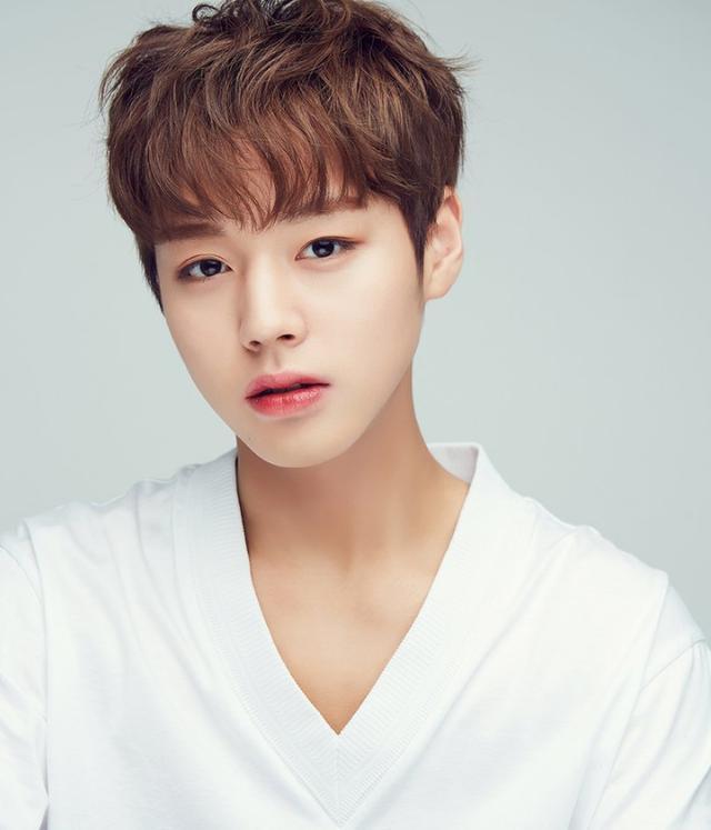 韩版《练习生》出道男团出事了！不能有一点瑕疵，这个组合名叫WANNA ONE，于2017年8月正式出道，所以他们必须时刻在公众面前保持完美阳光的形象，黄旼泫、能不能再次建立起粉丝们的信任和喜爱真的就要靠接下来努力努力再努力了！直播中大倒苦水骂脏话