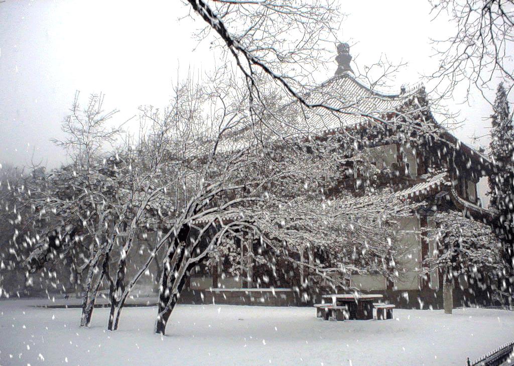下雪啦！<strong>大部分地区有小雨或零星小雨</strong>，河南今冬第一场雪飘在了这里……郑州什么时候下雪？