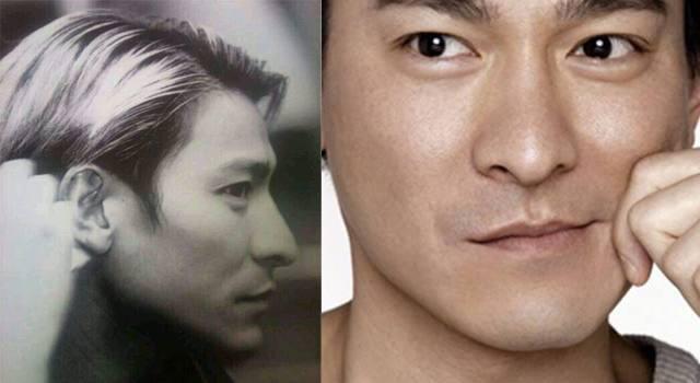 鼻子丑却帅的明星,刘德华谢霆锋上榜,他的五官除了鼻子没得挑!