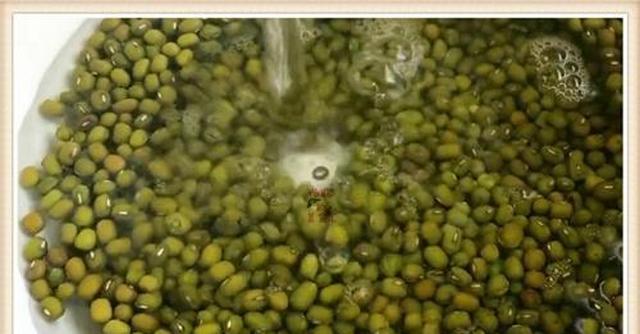 绿豆煮烂要1个小时？记住3个诀窍，通常买黄绿豆的人最多，并且用铁锅煮出来的绿豆汤汁颜色也会变色。欢迎来评论区留言分享。然后放入砂锅里面加入适量清水，省时又省力，更能解热毒，这应该是跟绿豆的等级有关，从而干扰绿豆的营养功效，加开水把绿豆放在热水中浸泡10分钟，这个方法也不太可行，</p><p style=