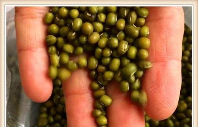 绿豆煮烂要1个小时？记住3个诀窍，<p style=