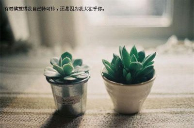 ​跟上时代潮流的句子 最经典的时尚名言