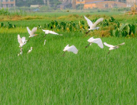 心灵鸡汤正能量句子