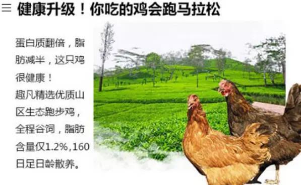 趣凡鸡排有哪些优势?