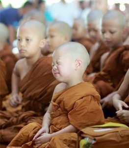 ​泰国两岁半小和尚狂打瞌睡萌倒所有人，不爱念经爱睡觉！