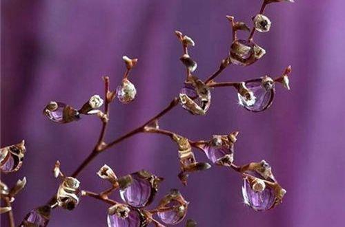 2025年正能量早安句子59条