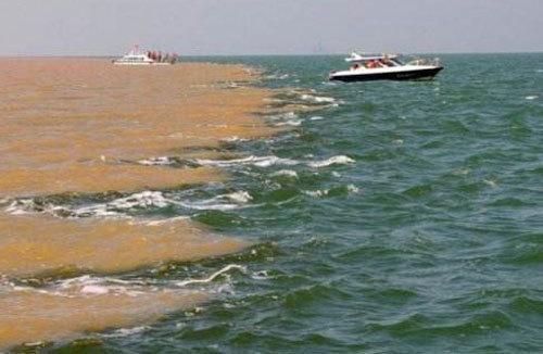 黄河入海处的自然奇观